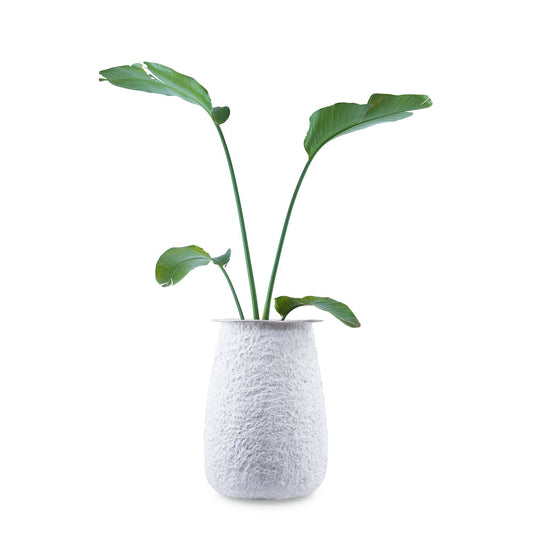 Shop for white FRP planters with a unique rustic texture. 