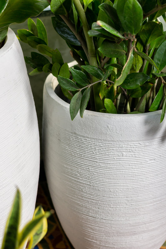 Buy round circular planters in Bnagalore online. White planters that have a beatutiful texture in Matt white available online in India