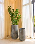 The Rony FRP Grey large planter by Studio Palasa is an ideal fit for living rooms, balcony's and gardens. This large planter has been designed to be tall and sleek with a grey concrete finish, making it the perfect addition to your space.