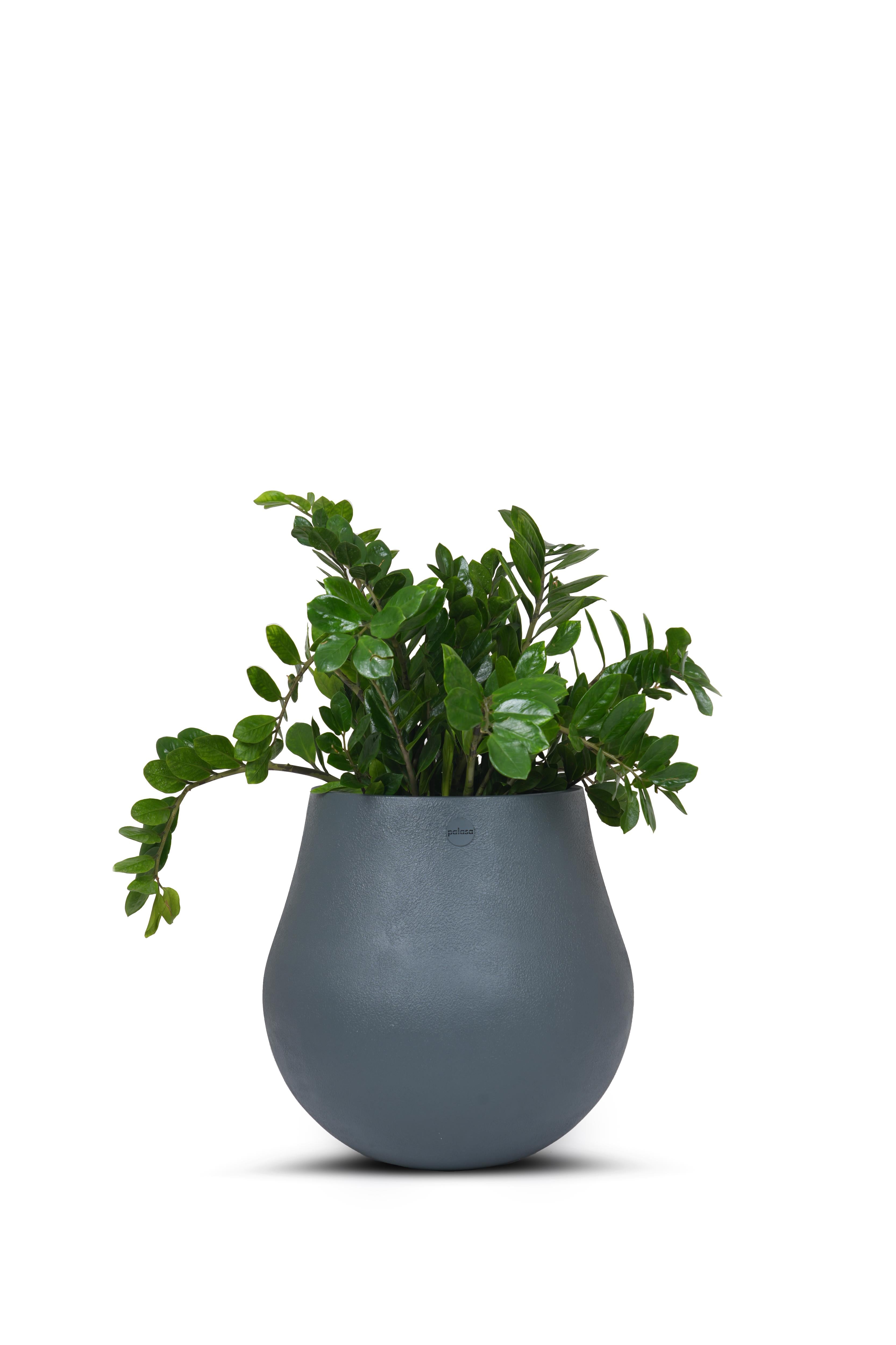 SRL ROUND-L neighborhood プラ鉢 Lサイズ NEIGHBORHOOD SRL ROUND-L P-PLANT POT