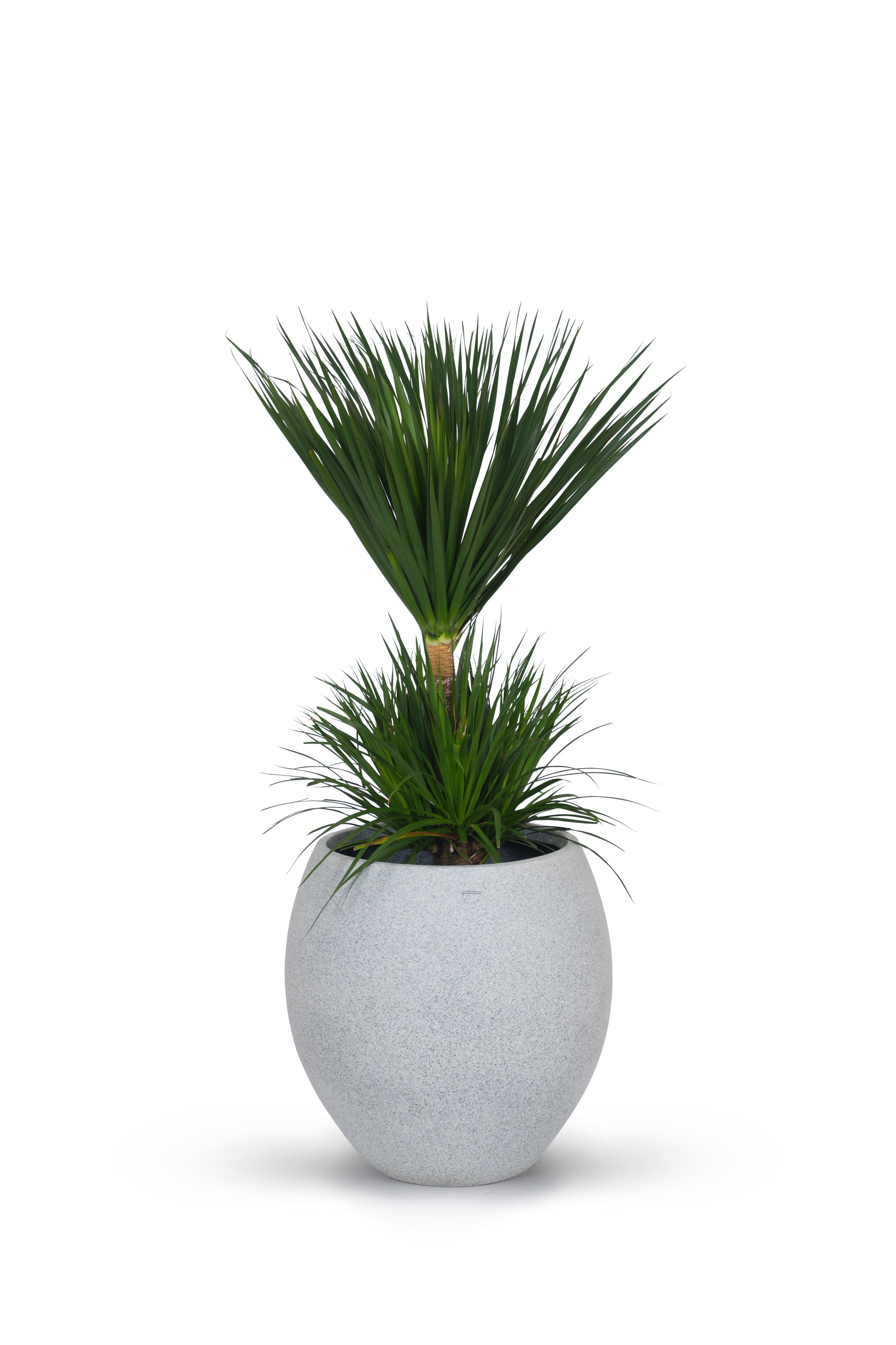 Cora FRP Round Planter White | Palasa Online Planters