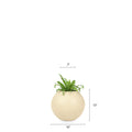 This set of three FRP planters by Palasa is sure to create a lovely corner in your balcony or indoor area. The beige tall planters pots are perfect for your balcony garden or living room. Buy living room planters today at Palasa