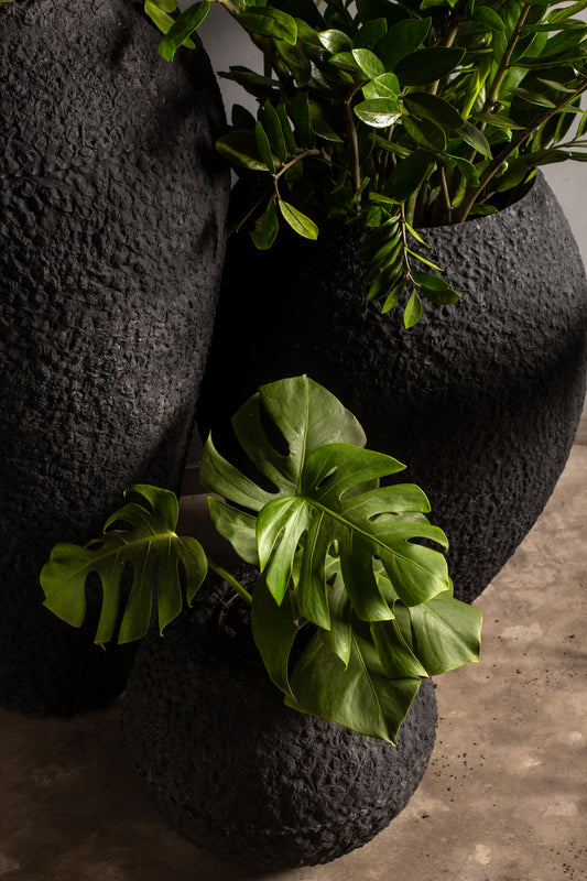 Trado, Urn and Cosmos rustic black large planters that are hand chiselled to achieve some lovely contours, which showcase amazing small specs of stones through the planter.&nbsp;
