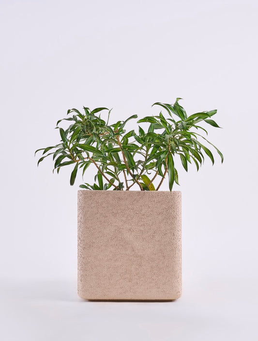 Oblong FRP Rectangular Planter Pot