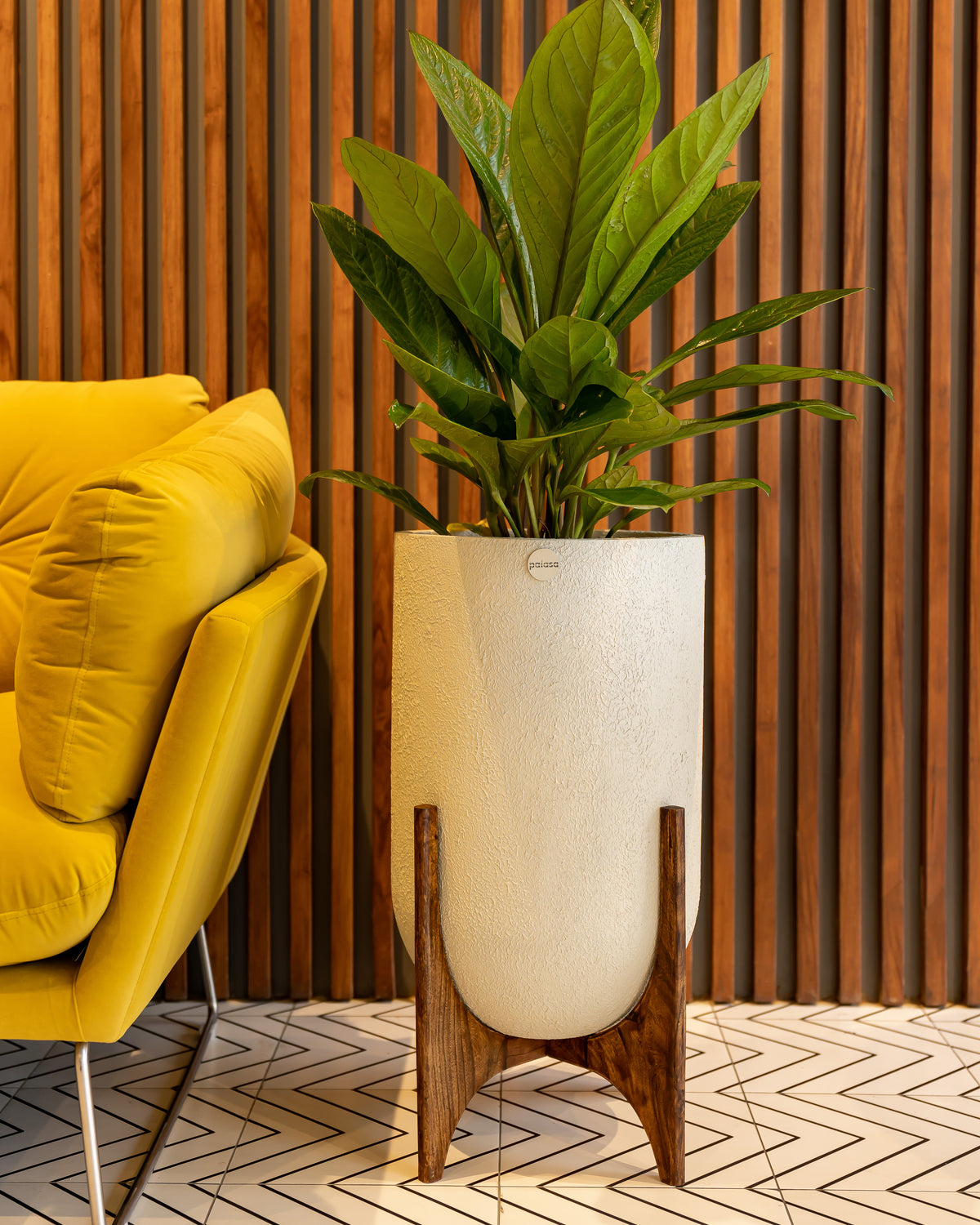 Ammo FRP Planter with stands online | Palasa Pots