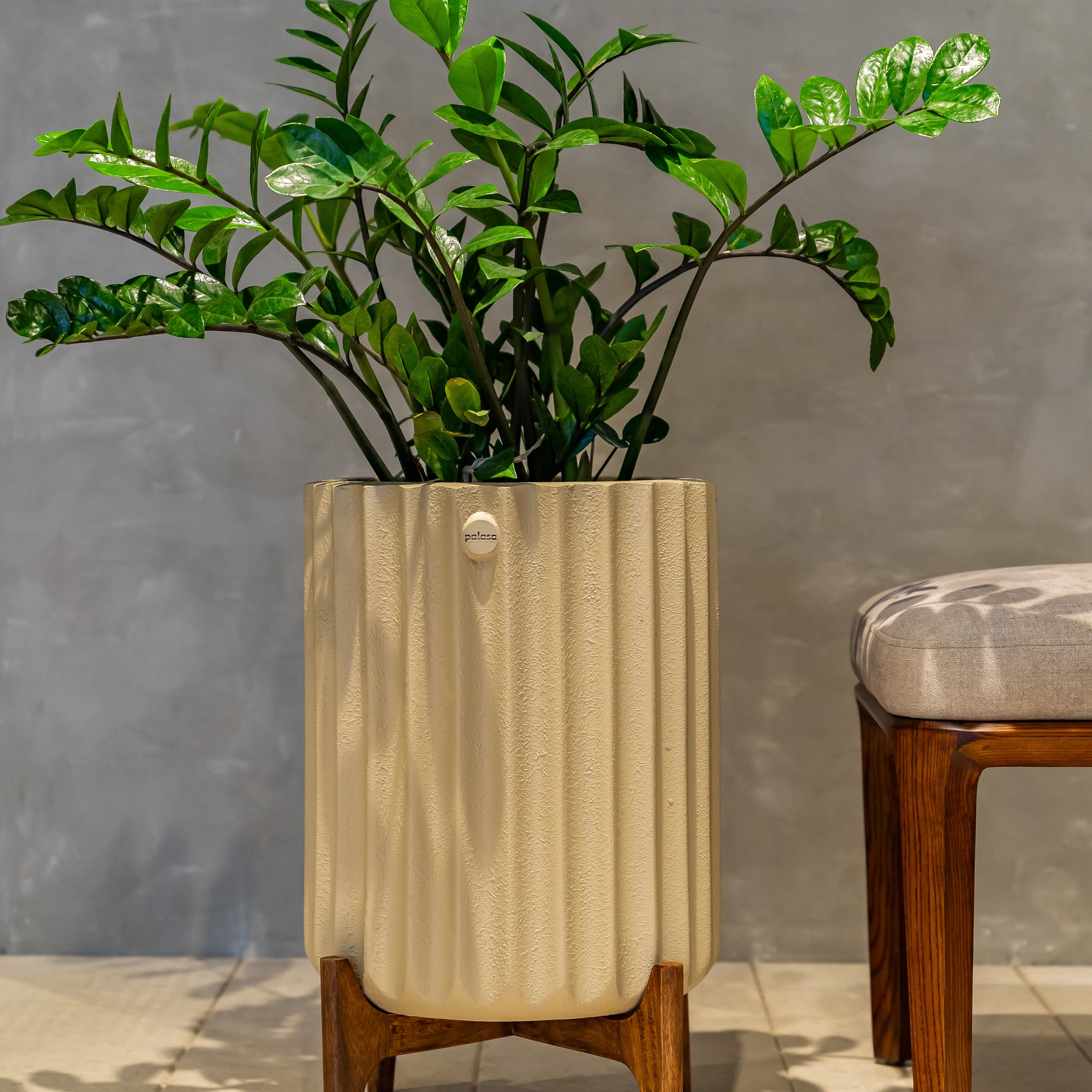 Ribbed Pot with Wood Stand | Palasa Planters Online
