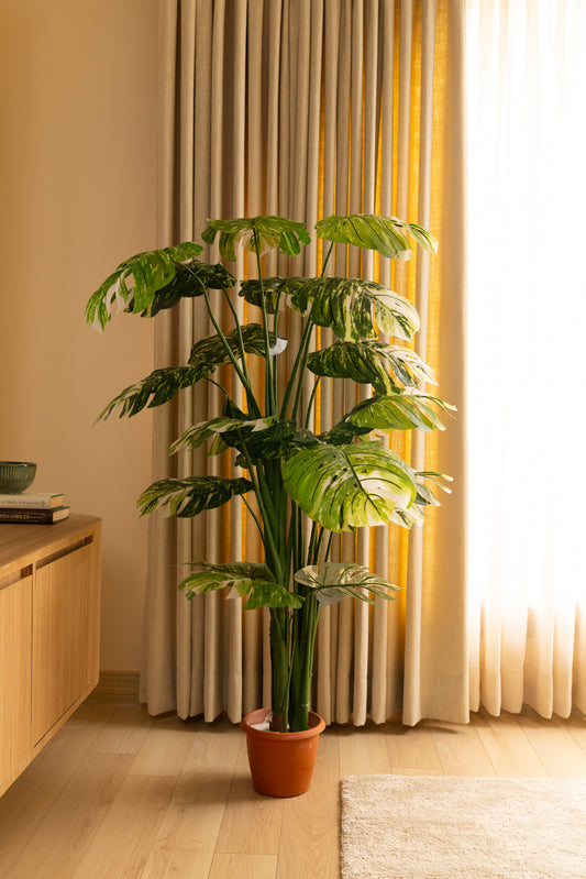 Faux Verigated Monstera