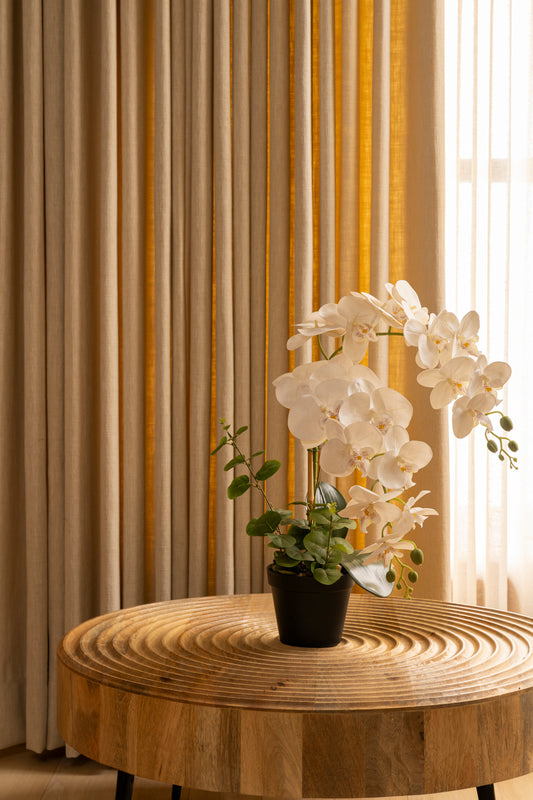 Faux White Orchid Plant