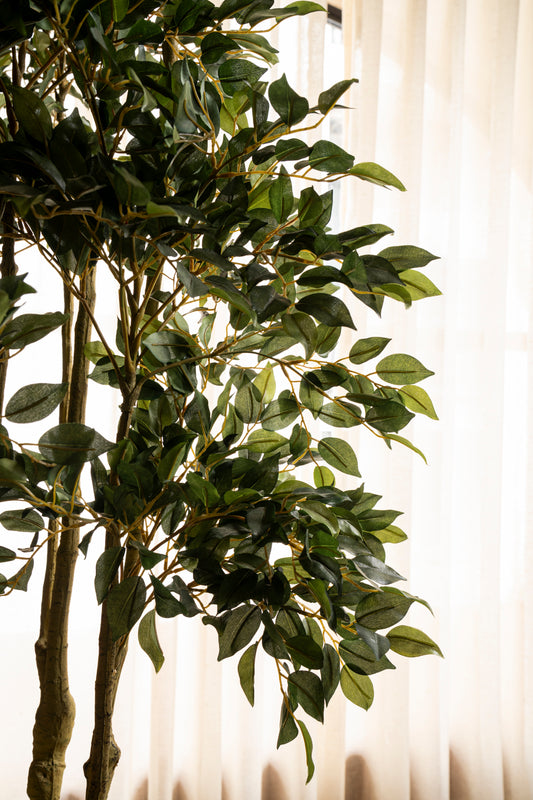 Faux Carpensia Tree