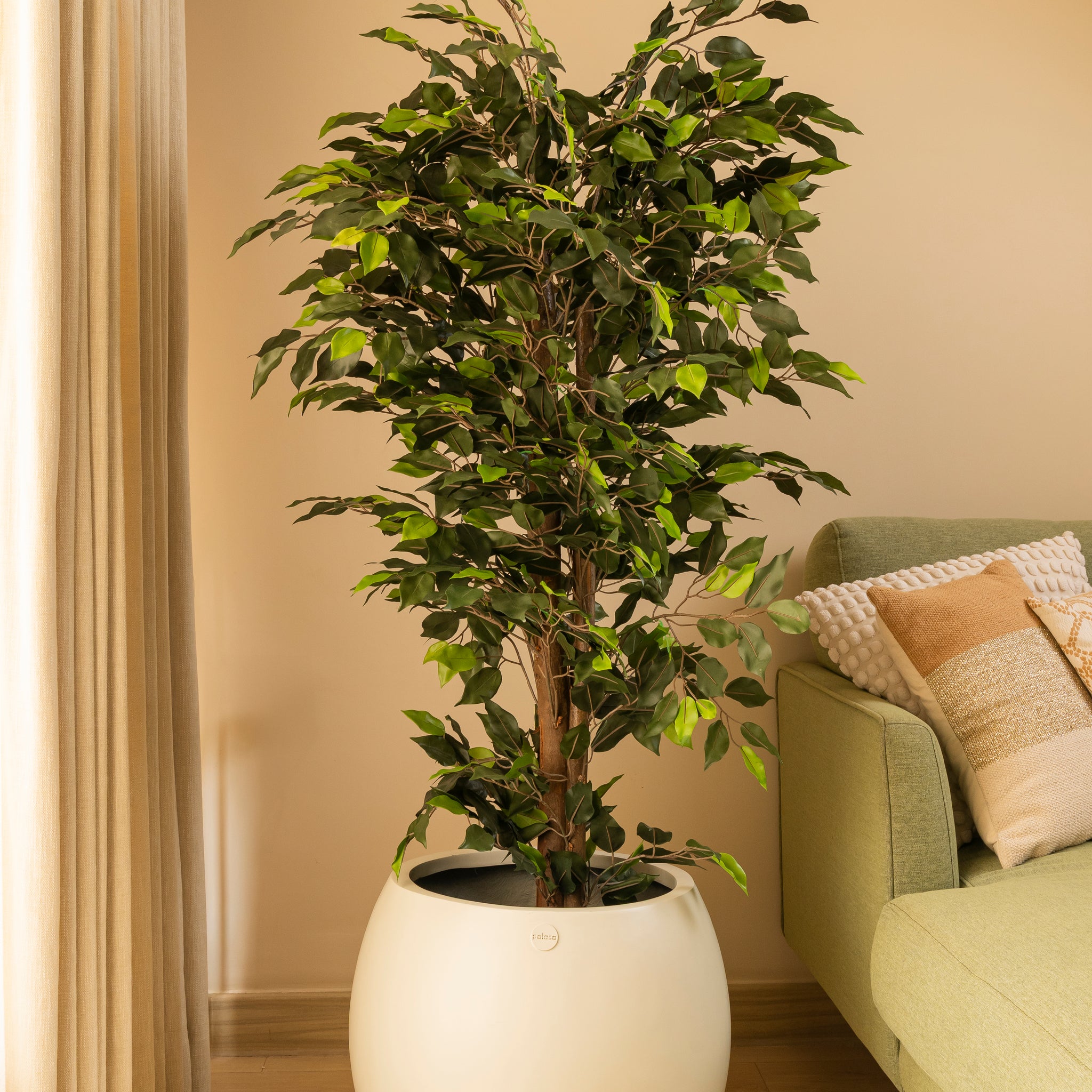 is china doll an indoor plant Artifical China Doll Plant |Indoor artificial plant by Palasa