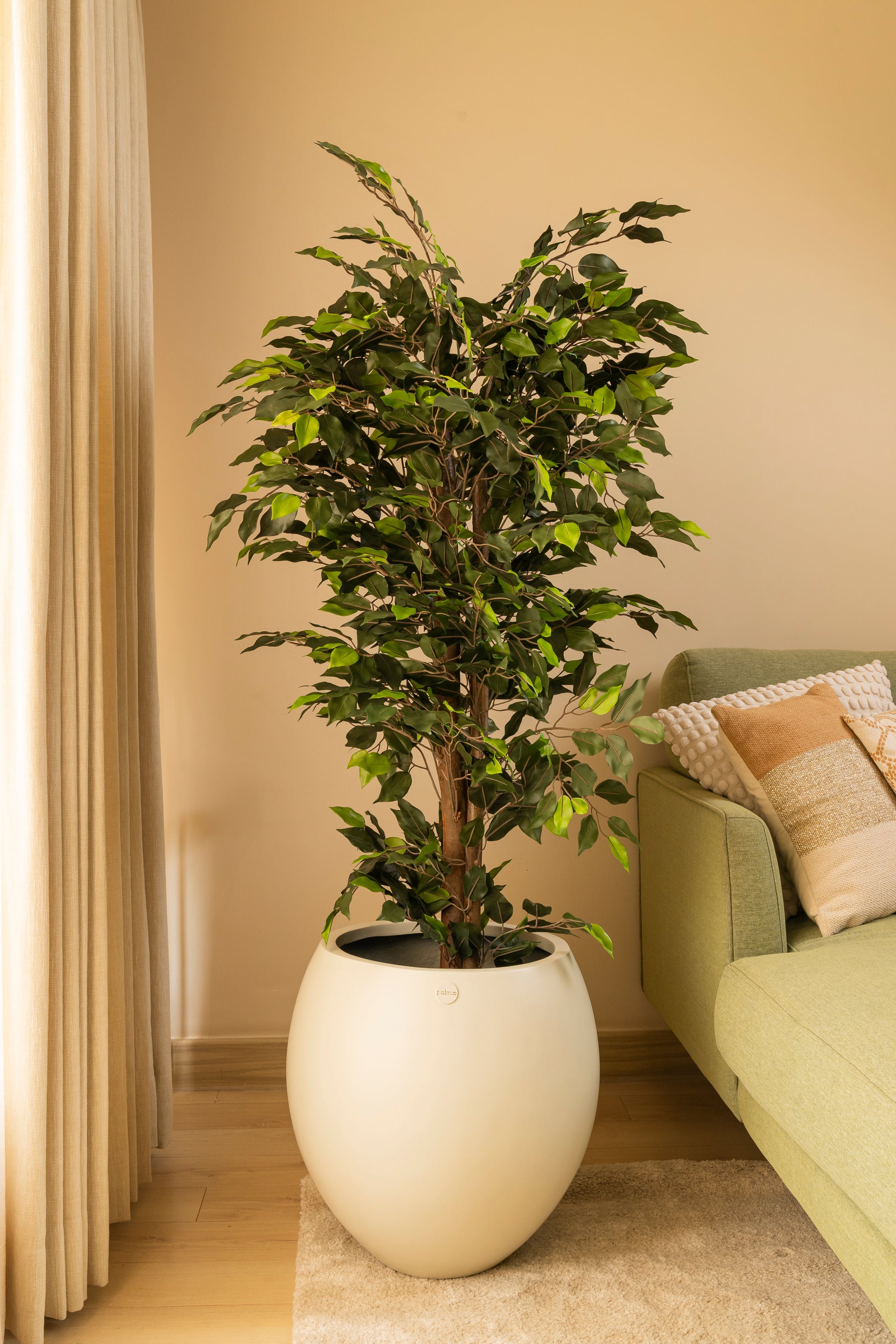 china doll plant indoor or outdoor Artifical China Doll Plant |Indoor artificial plant by Palasa