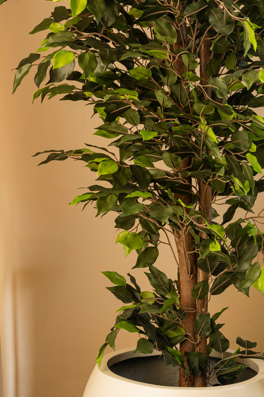 Faux Brigade Ficus Plant