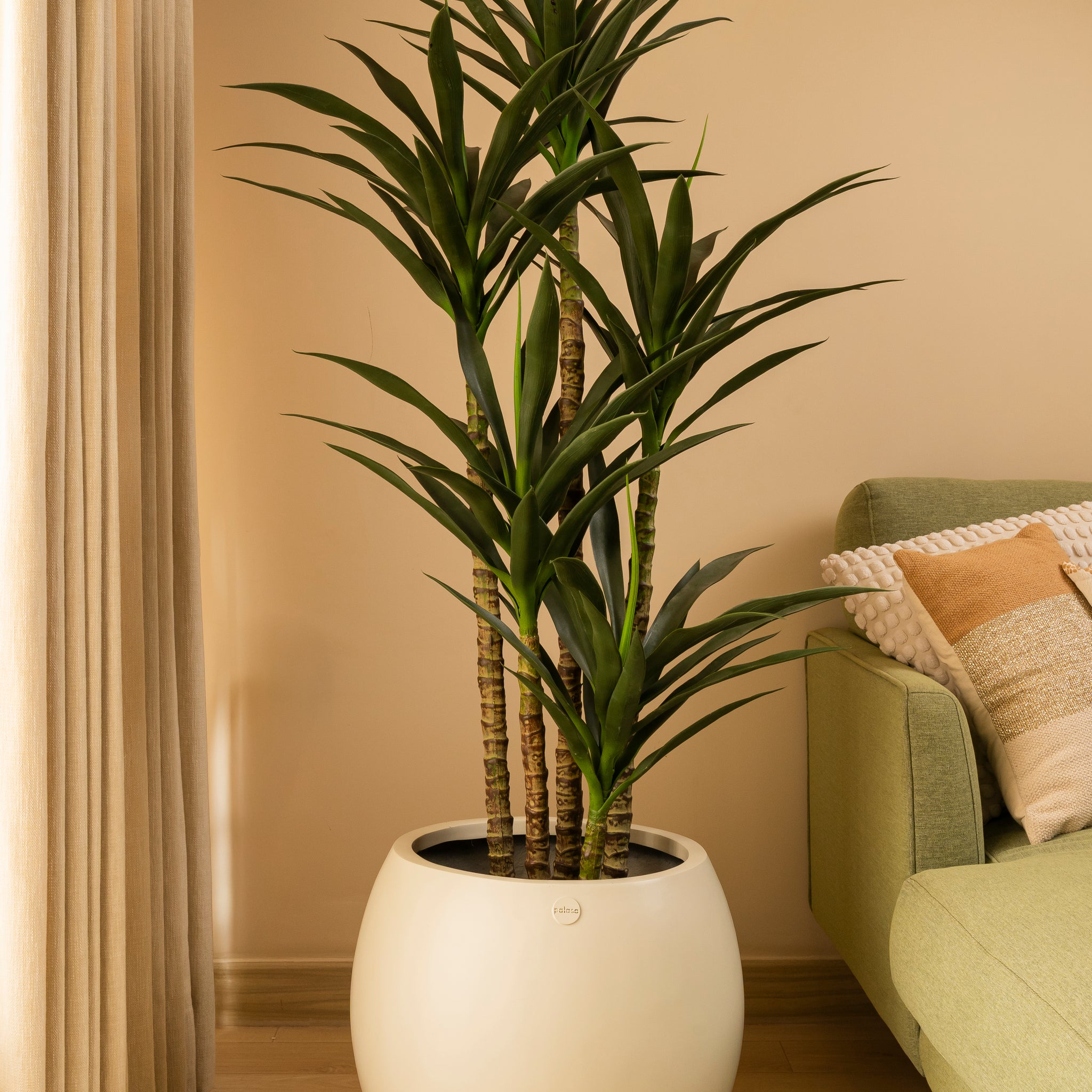 Faux Dracena Plant