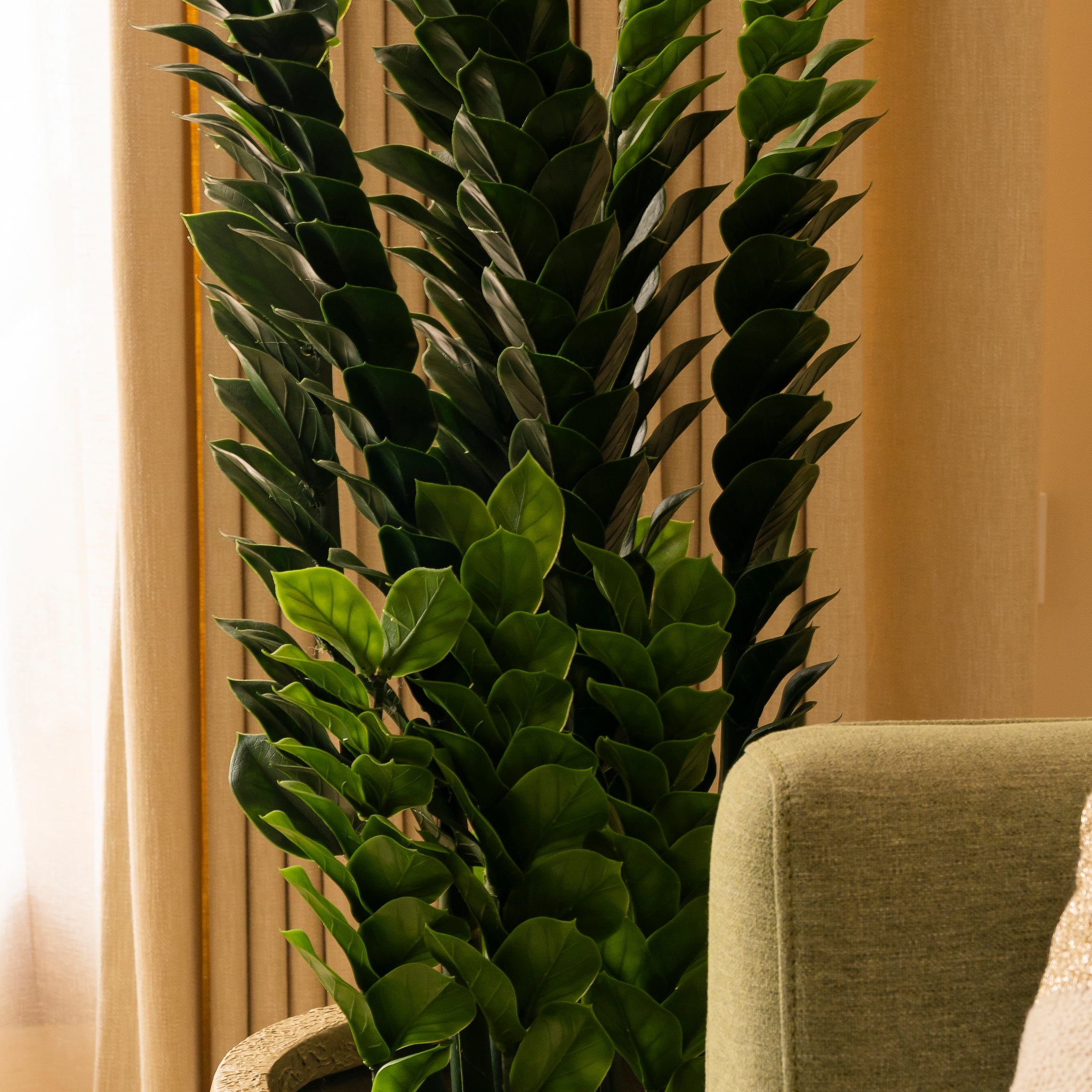 faux zz plant Artificial fuss free ZZ Plant |Studio Palasa