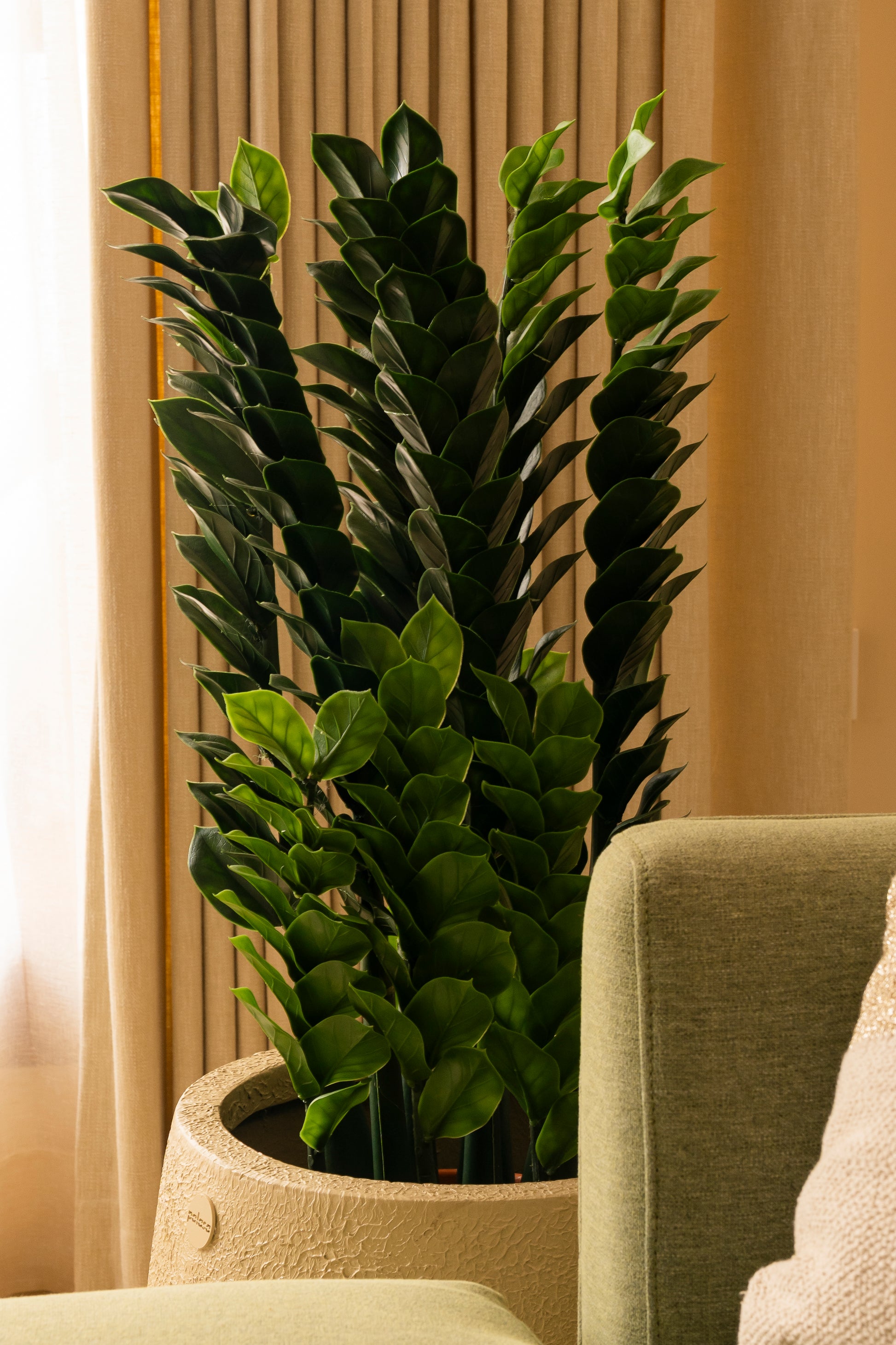 artificial zz plant Artificial fuss free ZZ Plant |Studio Palasa