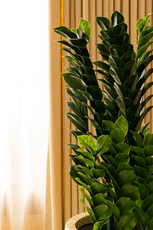 Faux Zamioculcas (ZZ) Plant