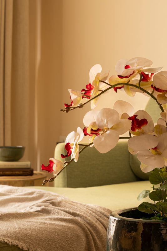 Faux White & Pink Orchid Plant