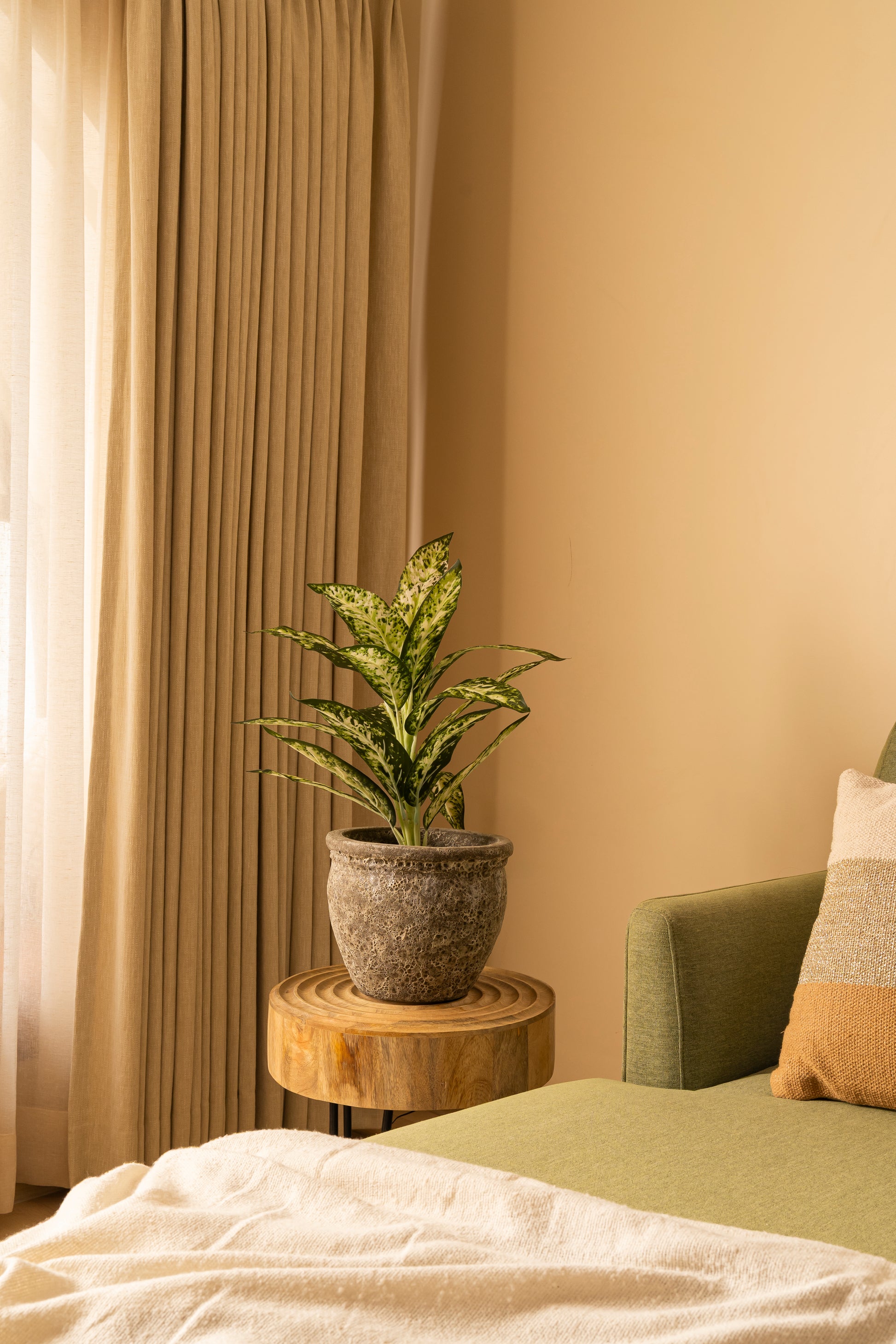dieffenbachia bedroom Faux Dieffenbachia Plant