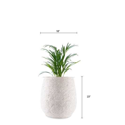 Dewdrop (S) Coral Finish - White Planter by Studio Palasa with the unique texture provides a rustic appeal to its overall appearance. This planter pot can be placed indoors and outdoors.