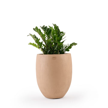 Iris FRP Floor Planter Pot