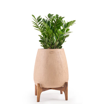 Bella FRP Planter with Teak Wood Stand