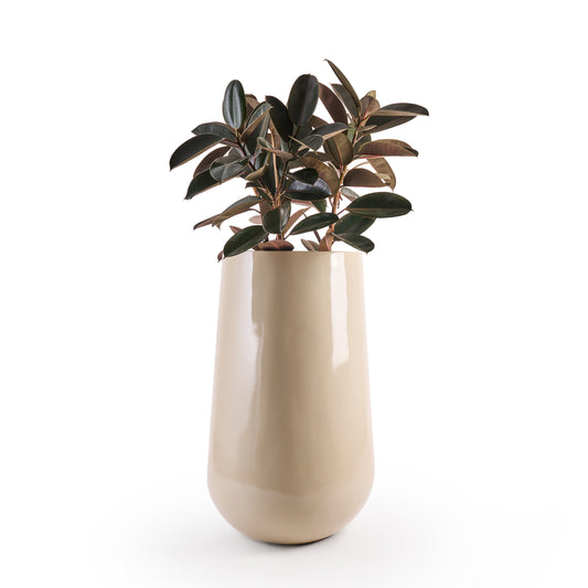 The Beige Rony FRP large planter by Studio Palasa is an ideal fit for classic and contemporary residences, balcony's and gardens. This beige large round indoor planter pot has been designed to be tall and sleek with a glossy finish, making it the perfect addition to your indoor homes.