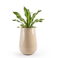 The Beige Rony FRP large planter flower pot by Studio Palasa is an ideal fit for classic and contemporary residences, balcony's and gardens. This beige large round indoor flower pot has been designed to be tall and sleek with a glossy finish, making it the perfect addition to your indoor homes.