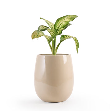 Teardrop Small FRP Planter