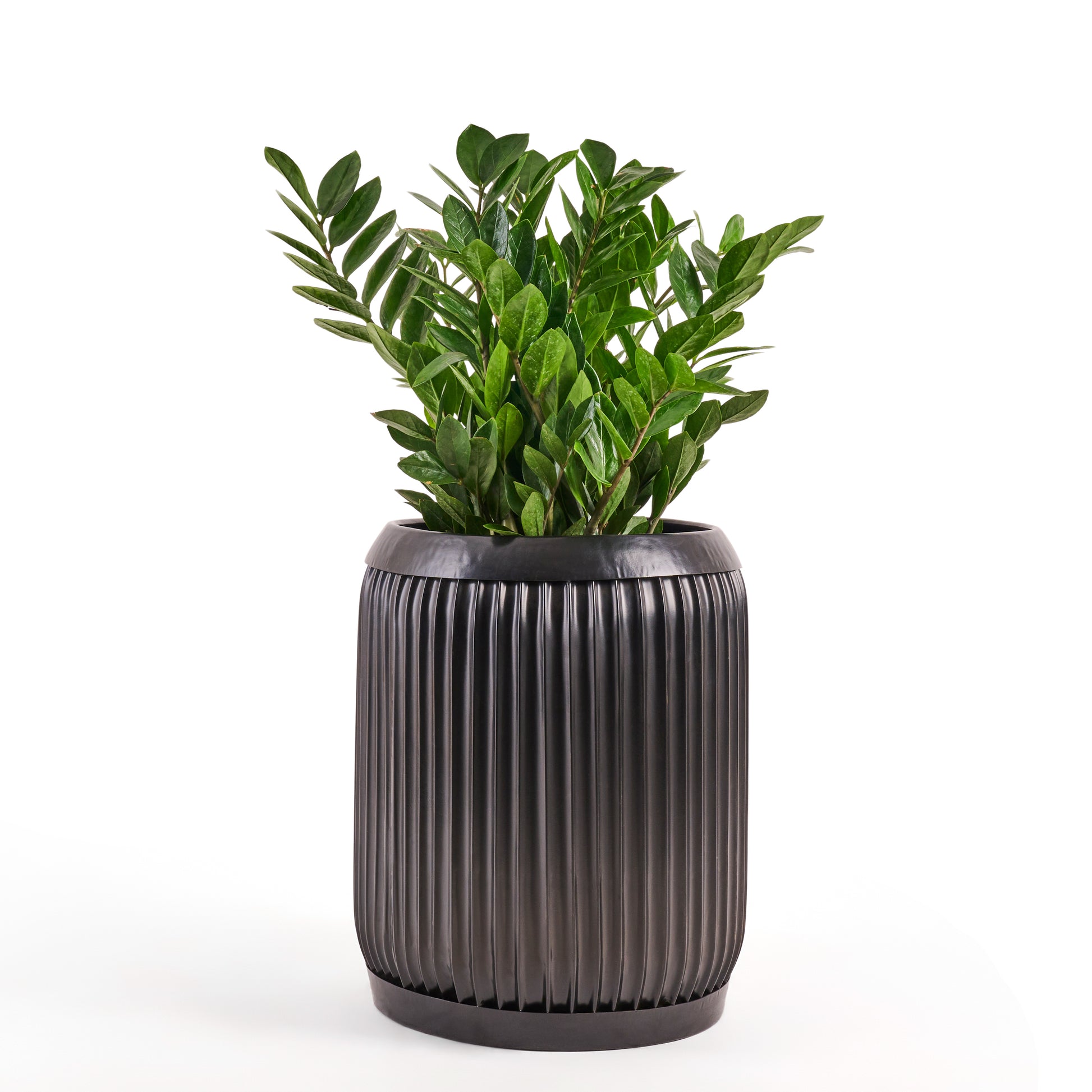 This beautiful large black metal planter by Palasa can bring life to any space. Use this black metal indoor planter pot set any where in your living room, bedroom or even entryway.