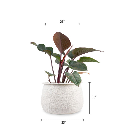 Fiji (L) Coral Finish - White Circular Planter