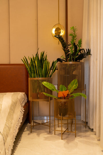 Bring the timeless look of metal to your home with our metallic Quest Circular Planters. These opulent gold circular planters can be kept in your living room or bedrooms. Each piece is meticulously handcrafted by our artisans.