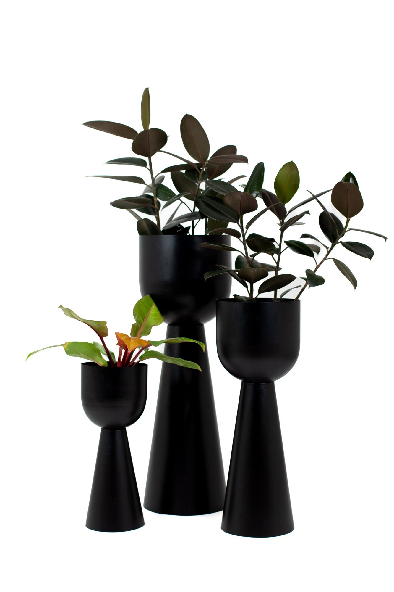 black modern planters online india