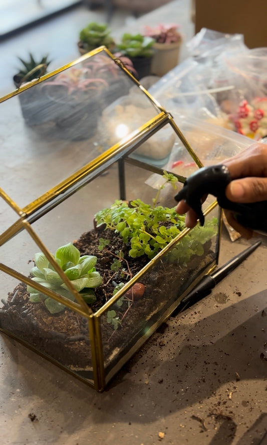 Terrarium Workshop with Healing Garden