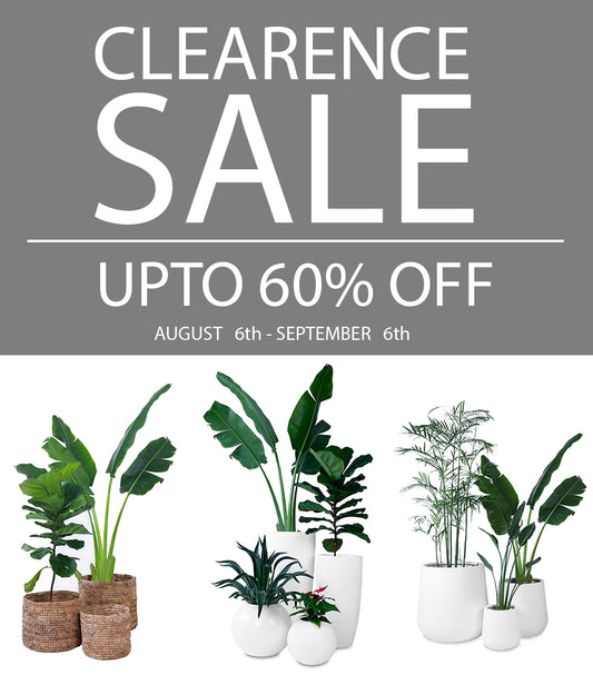 SALE CLEARENCE