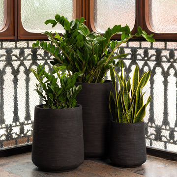 Buy round circular planters in Bangalore online. Black planters that have a beautiful texture in Black and white available online in India