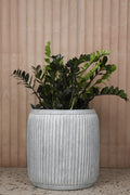 Buy Planters Online India - Safe Payment, Fast delivery, Free Shipping. Choose from a wide variety of luxury Planters to bring joy to your home. Luxury Planters on Sale.