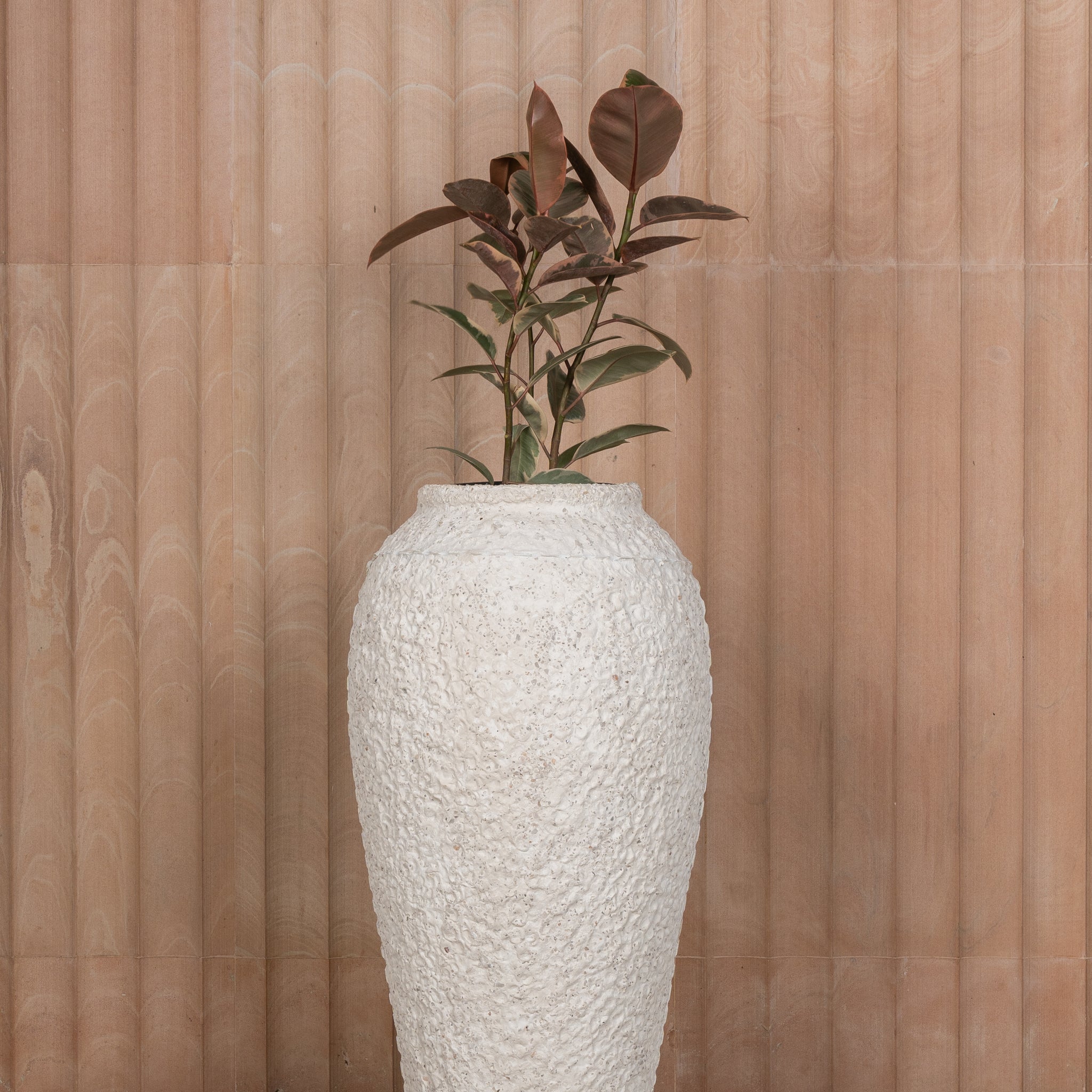 Trado (M)White Coral Finish Pot