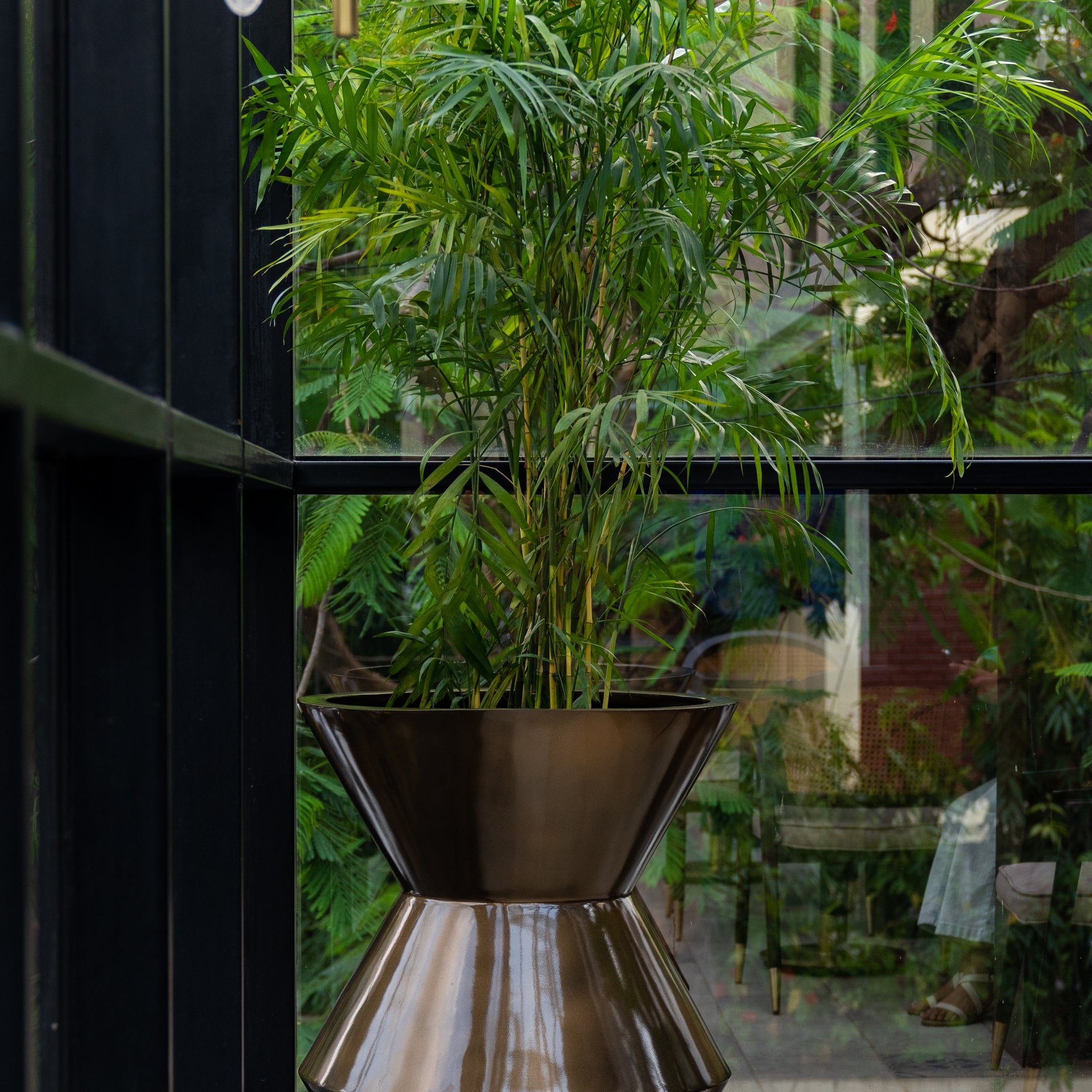 This Brass Metallic finished FRP Planter is a perfect example of contemporary design. Its unique funnel shape adds an eye-catching style to any space. Perfect for both indoor and outdoor settings, the Funnel Planter works well with a range of plants, such as Bamboo Palm, Dracaena Dara Singh, or Dracaena Draco.