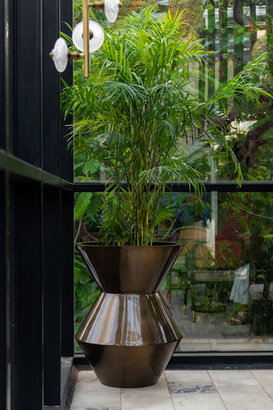 This Brass Metallic finished FRP Planter is a perfect example of contemporary design. Its unique funnel shape adds an eye-catching style to any space. Perfect for both indoor and outdoor settings, the Funnel Planter works well with a range of plants, such as Bamboo Palm, Dracaena Dara Singh, or Dracaena Draco.