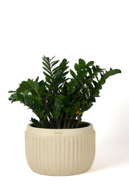 Wally Planter Circular