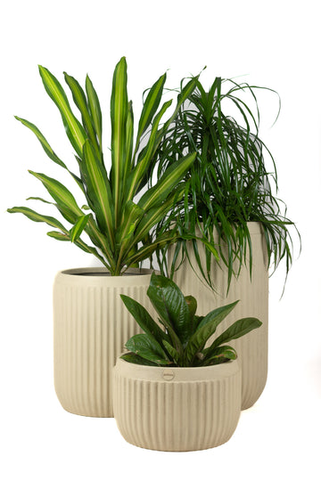 Wally Planter Circular