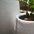 Buy round circular planters in Bnagalore online. White planters that have a beatutiful texture in Matt white available online in India