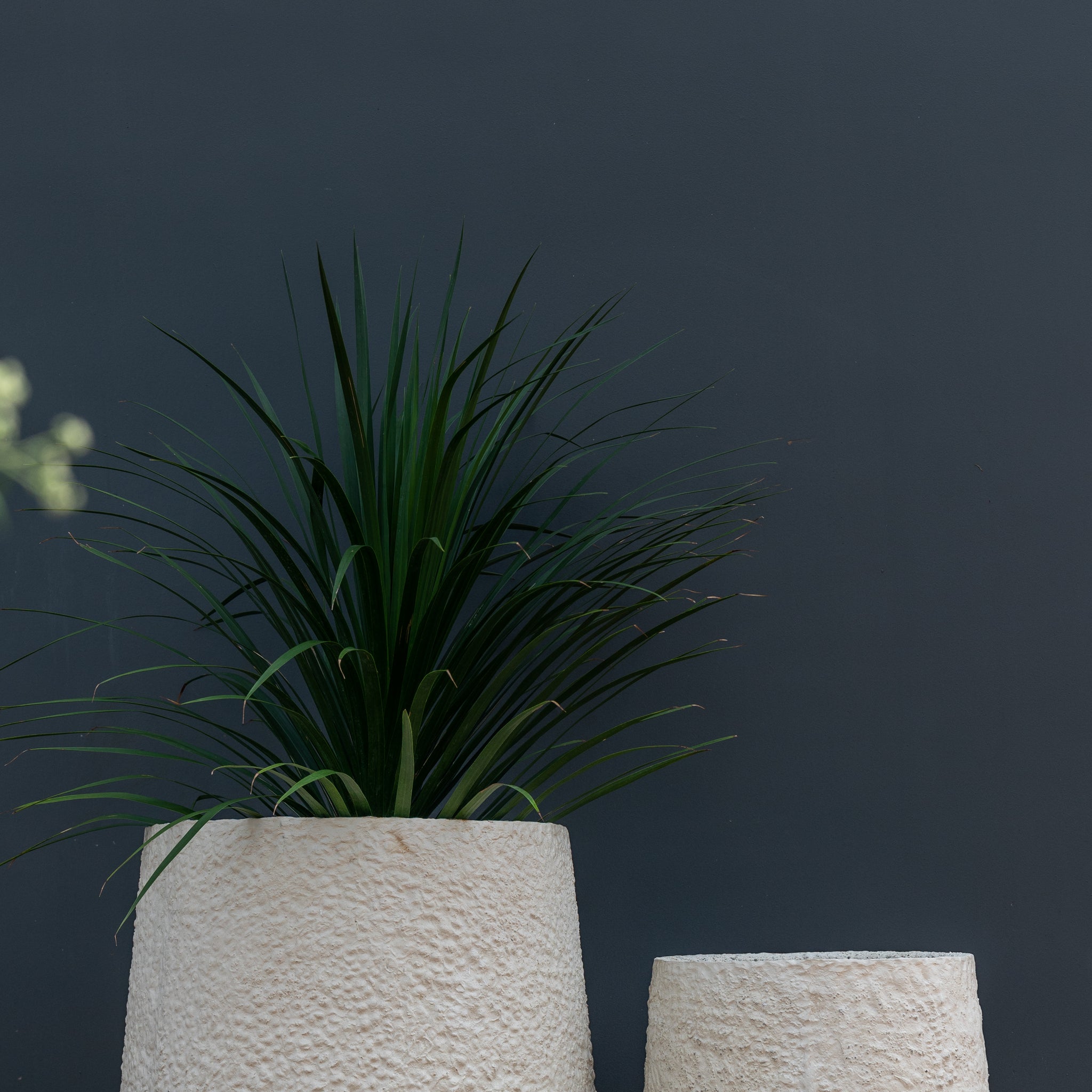 Aquila Round Planter White Coral Finish