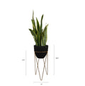 This fiberglass black planter with gold stand designed by Studio Palasa is an ideal fit for your indoor spaces like your entryway or any corner of your home or office space. Combined with the stand, the planter adds a dramatic effect onto your plants. 