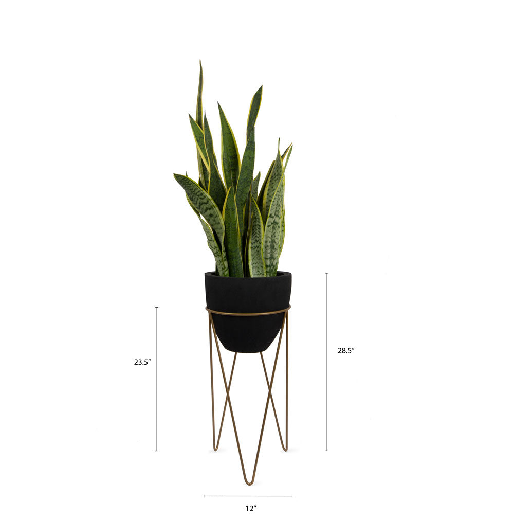 This fiberglass black planter with gold stand designed by Studio Palasa is an ideal fit for your indoor spaces like your entryway or any corner of your home or office space. Combined with the stand, the planter adds a dramatic effect onto your plants. 