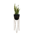 This fiberglass black planter with gold stand designed by Studio Palasa is an ideal fit for your indoor spaces like your entryway or any corner of your home or office space. Combined with the stand, the planter adds a dramatic effect onto your plants. 