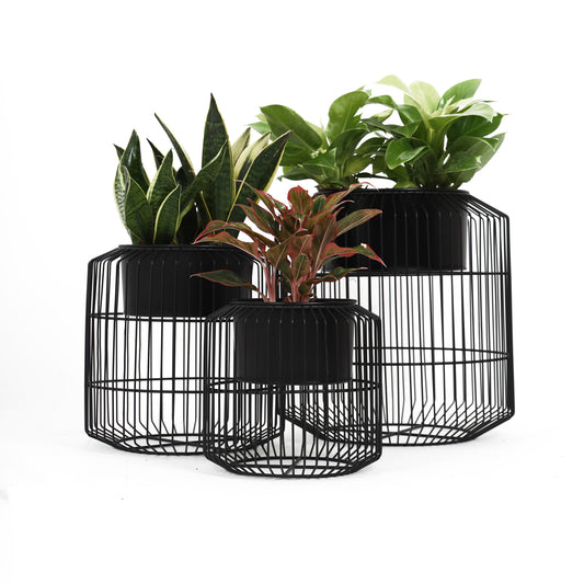 This beautiful black metal planter set can be placed anywhere in your homes or office spaces. Best metal planters in Bangalore. Order online. Free shipping PAN India