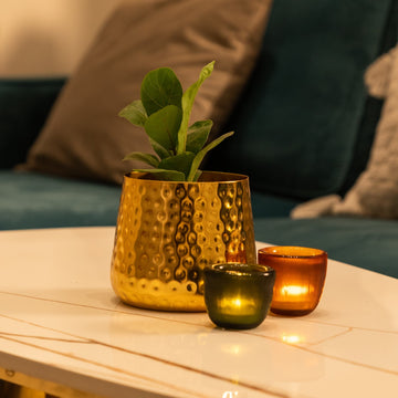 Buy the Eden Gold Desk Planter online India. Desk gold planter that is small and fuss free.