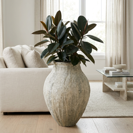 Lagoon Antique White planter styled with a rubber plant in a living room