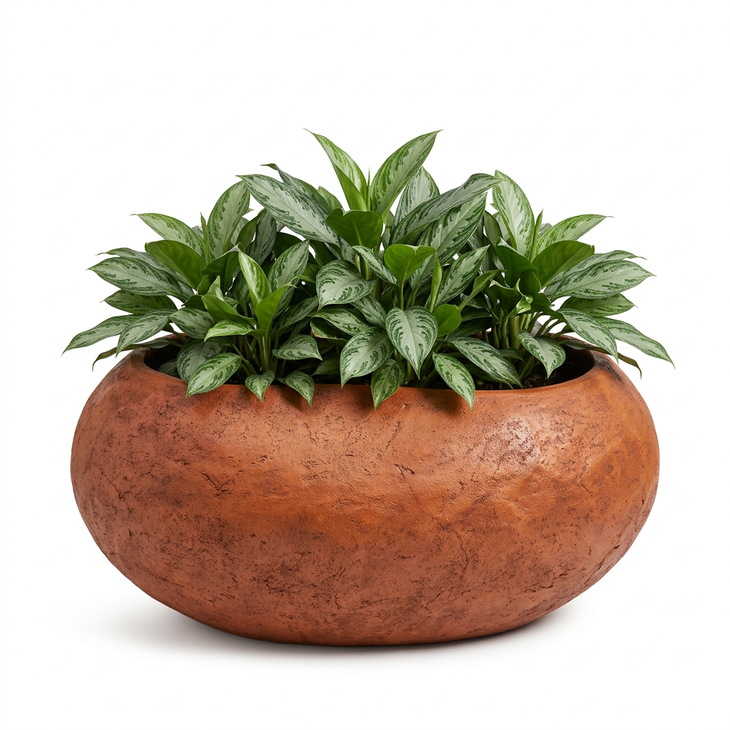 Boca GRC Planter with Aglaonema
